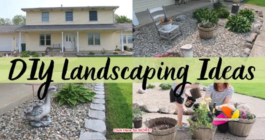 New Landscaping Ideas that Work