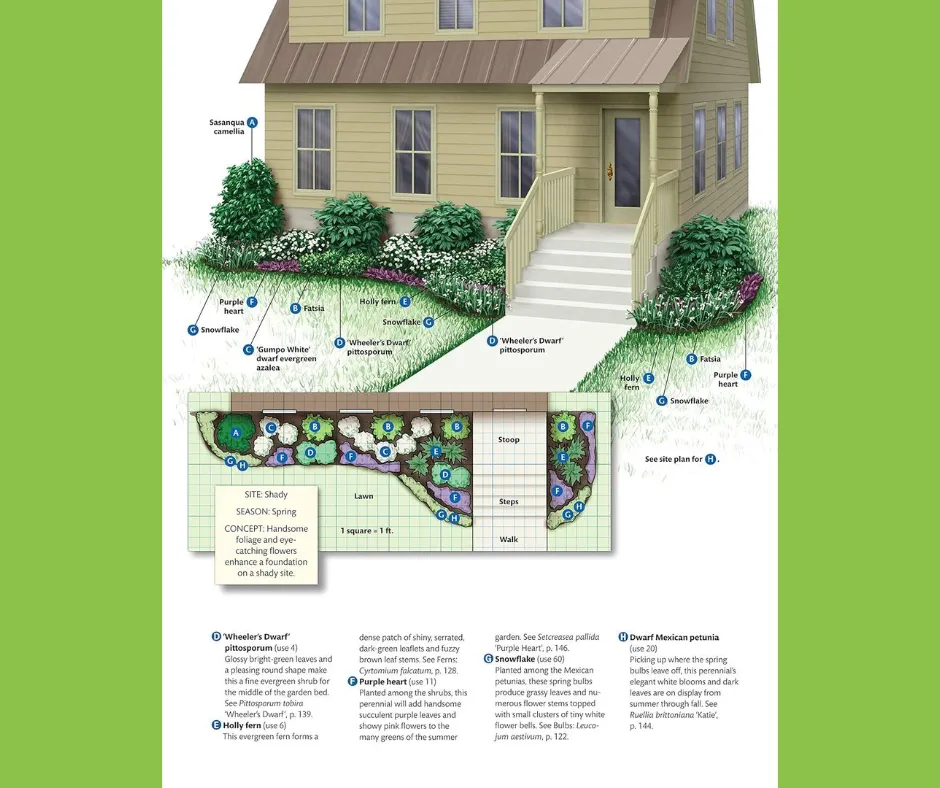 Proper Plant Selection in Landscaping