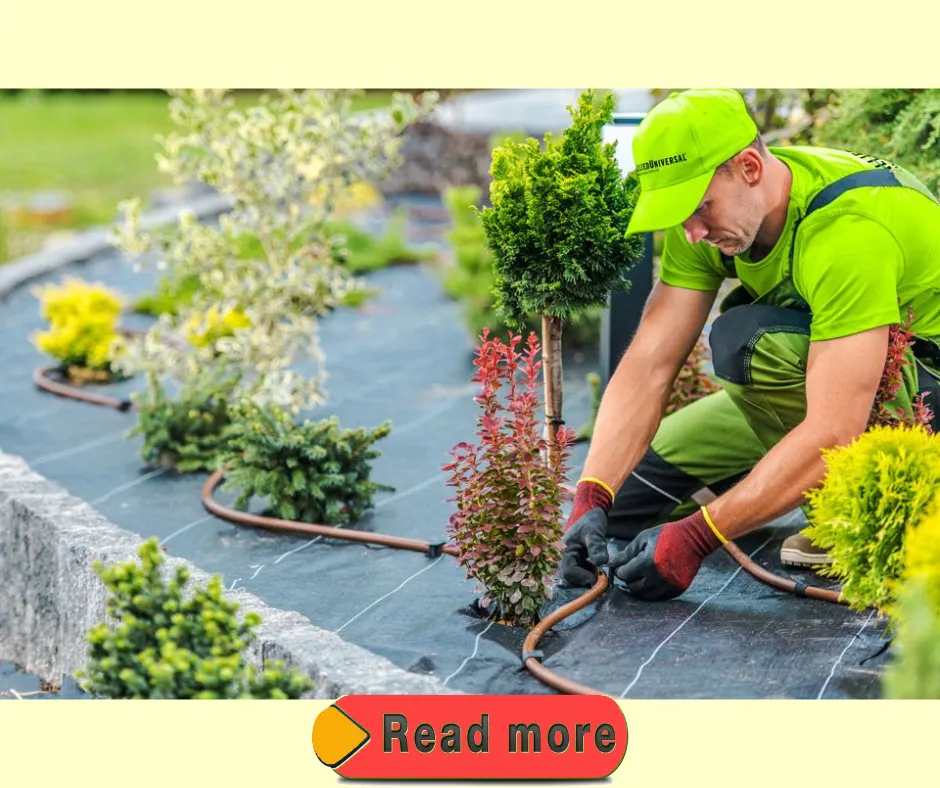 Benefits of Professional Landscaping Services