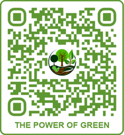 The Power of Green Upcycling Outdoors QR